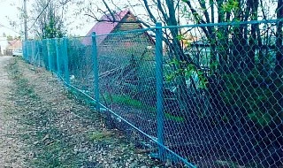 �����: ����� �� �����-������ ������� �� �������� � ���������� ��� ����